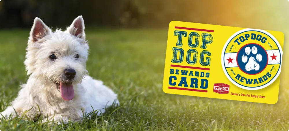 Top Dogs Rewards Program